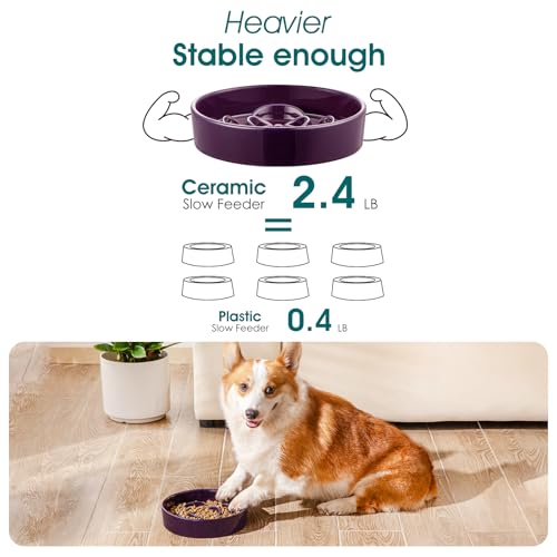 vancasso Slow Feeder Dog Bowl, 1.5 Cup Ceramic Medium Puzzle Dog Food Dish - color: Dark Purple, size: M - 1.5 Cups