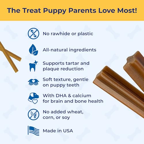 N-Bone Puppy Teething Sticks Variety Pack, Chicken & Pumpkin & Peanut Butter Flavor, 3.74 Ounce (Pack of 6) - size: 11.22 Ounce (Pack of 6)