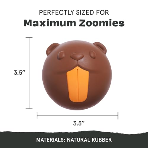 BarkBox Ricochet The Nutria Dog Toy - style: Ricochet The Nutria