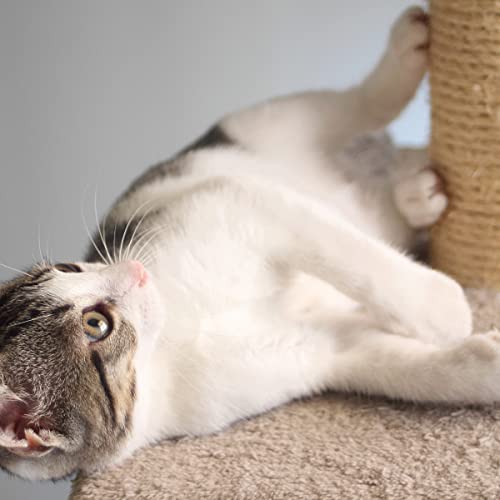 Cat Scratching Post with Carpeted Base - 27.75-Inch Sisal Burlap Fabric Scratcher - Furniture Scratching Deterrent for Indoor Cats by PETMAKER (Beige) - color: Beige