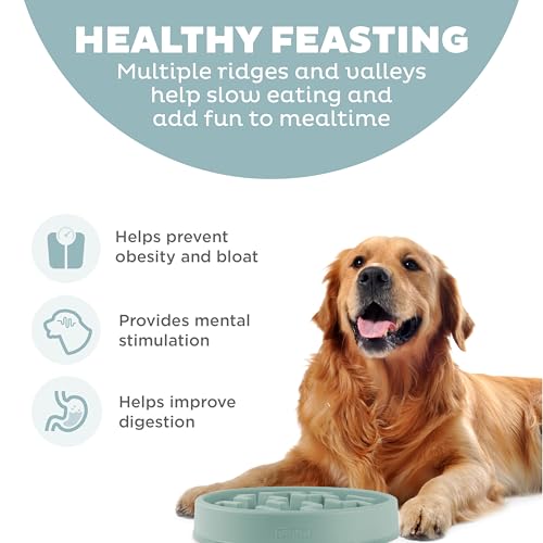 Outward Hound Fun Feeder Slo Bowl Dog Slow Feeder, Notch, Sage, 11.8" - color: Sage, size: Large