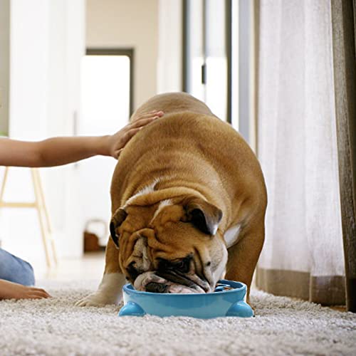 VANNON Slow Feeder Dog Bowls Durable Puzzle Feeder Non Slip Dog Food Dish Bloat Stop Food Bowls for Small Medium Dogs, 3 Cups, BPA Free, Blue - color: G-Blue-Medium-3Cups