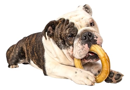 QT Dog Water Buffalo Colgn Ring 4" - All Natural Long Lasting Collagen Dog Chews, Single Ingredient, Protein-Packed, Gluten & Grain Free, Odor-Free Dental Chews, Ideal for All Breed Sizes - Banded