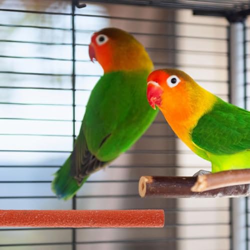 Mipcase Bird Climbing Stand Parrot Grind Stick Beak Grinder for Birds Standing Perch Toy for Cockatiels Parakeets Small Birds 7.87 X 0.78 X 0.78 in Random Color