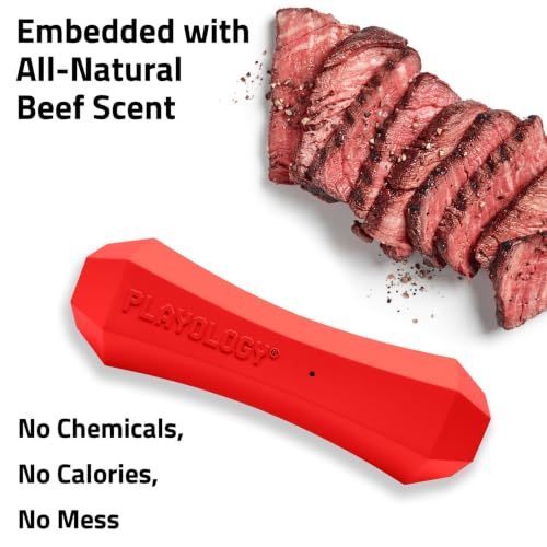 Playology Squeaky Chew Stick - Scented Dog Toy - Medium, Beef Scent, 2-pk - size: Medium (VALUE 2-Pack), style: Beef