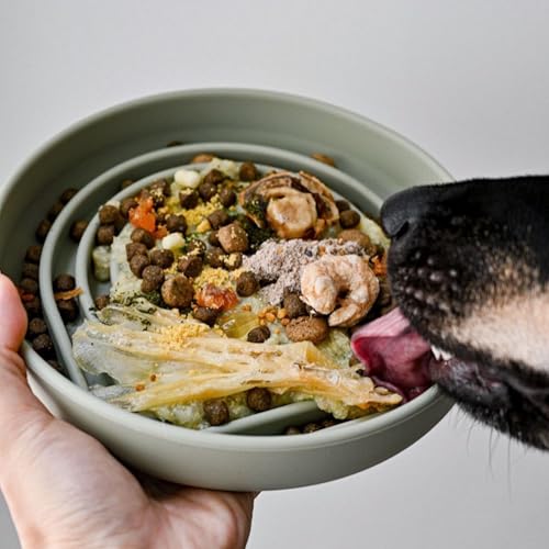 Slow Feeder Dog Bowl - Silicone Dog Bowl, Medium, 7.5" x 1.5" - Sage - color: Sage - Rainbow Design, size: Medium (7.5” Across x 1.5” Tall)