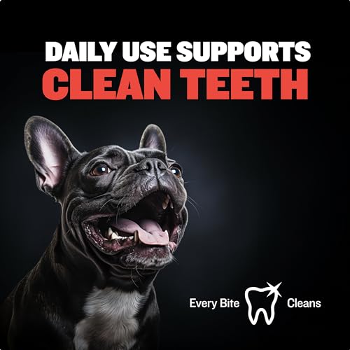 Bully Max Chew Ring Toy Long Lasting Dog Chew Toy for Power Chewers, Big Dogs, & Pit Bulls. Improves Mental Health, Keeps Dogs Busy for Hours. - color: Red (Adult/Large)