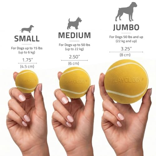 Playology Squeaky Chew Ball Dog Toy - Small, Apple Cider Scent, 3-Pack - size: Small (VALUE 3-Pack), style: Apple Cider