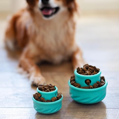 Messy Mutts Totally Pooched Puzzle n Play Mushroom, Small, Teal - color: Teal, size: Small