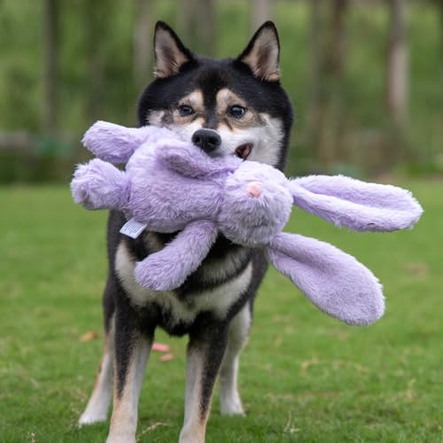 Best Pet Supplies Bunny Buddy Squeaky Plush Dog Toy - Purple, Small - color: Bunny (Purple), size: Small