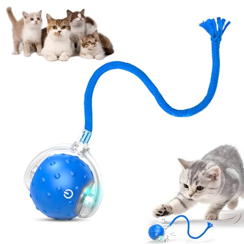 Tiny Fetch Dog Toy, Tinyfetch Interactive Dog Cat Toys Balls with Birdsong, 360° Smart Automatic Rolling Electric Dog Ball Toy, Fast Moving Balls Toys for Pets (Blue) - color: blue