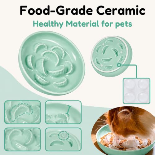 Ceramic Cat Slow Feeder Bowl - 6.2'' Whisker Friendly Cat Plate for Dry and Wet Food - Heavy Puzzle Feeding Bowl for Slow Eating - Helps Reduce Vomiting - Microwave & Dishwasher Safe -Non Slip - Green - color: Green
