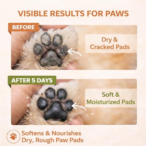 2-Pack Dog Paw Balm Sticks, Lick-Safe Moisturizer for Dry Paws & Nose - color: Two oranges