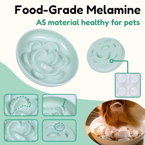 2 Pcs Cat Slow Feeder Bowl Set - Unbreakable Melamine Cat Food Plates for Slow Eating - Cute Kitten Plates for Wet & Dry Food- Whisker Friendly & Dishwasher Safe & Non Slip Design (White + Green) - color: Green + White