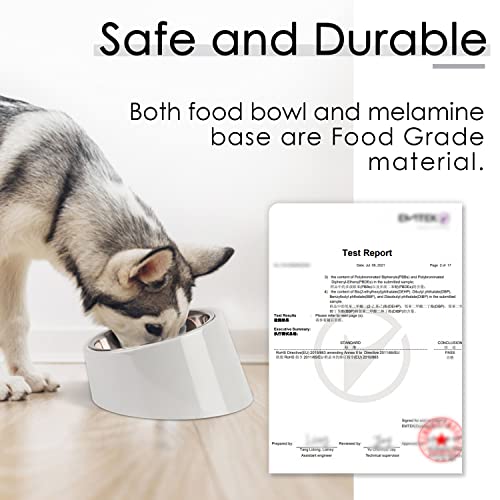 SUPERDESIGN Anti-Vomiting 15° Slanted Pet Bowl, S/0.5 Cup, Gray - color: Light Gray, size: S/0.5 Cup
