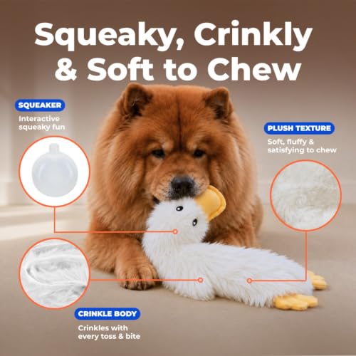 Best Pet Supplies Interactive Squeaky Dog Toy - Crinkle Duck, White - color: Crinkle Duck (White), size: Large