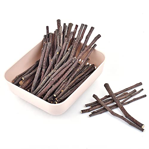 ERKOON Natural Apple Sticks 500g (1.1lb) Small Animals Molar Chew Toys Apple Branch Chew Treats for Hamster Rabbit Chinchilla Bunny Guinea Pig Squirrel (Pack of 2) - size: 1.1 Pound (Pack of 2)