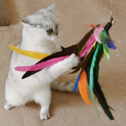miwoowim 2PCS Retractable Cat Teaser Wands & 9PCS Feather Refills Toy Set - color: Retractable Wand Toy
