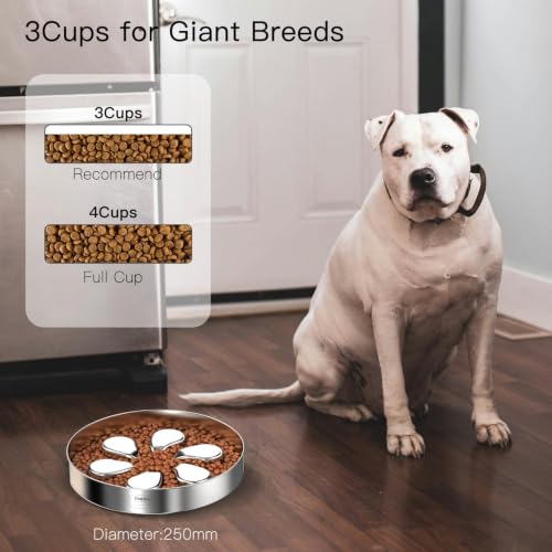 Feedoo Slow Feeder Dog Bowl 3.5-Cup, Food-Grade 304 Stainless Steel, 1-Pack - color: Flower-1Pack