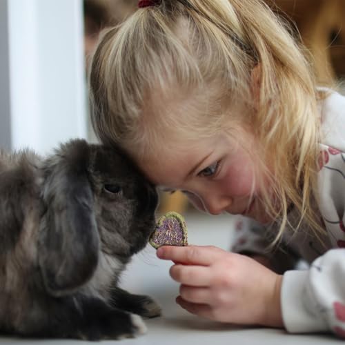 Abizoo Rabbit Chew Toys, Natural Four-Leaf Clover Herbal Edible Treats