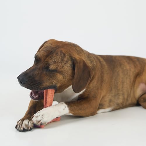 SPOT Bam-Bones Plus T-Bone Dog Chew, Beef, 6in, 30-60 lb Heavy Chewers - size: Medium