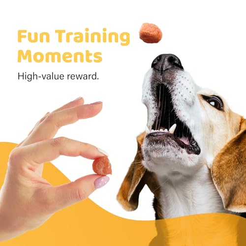 iPaw Turkey Tots Dog Treat, SQF-Certified Production Process,Training Treat - size: 3.5 Ounce (Pack of 5), style: Turkey Tots