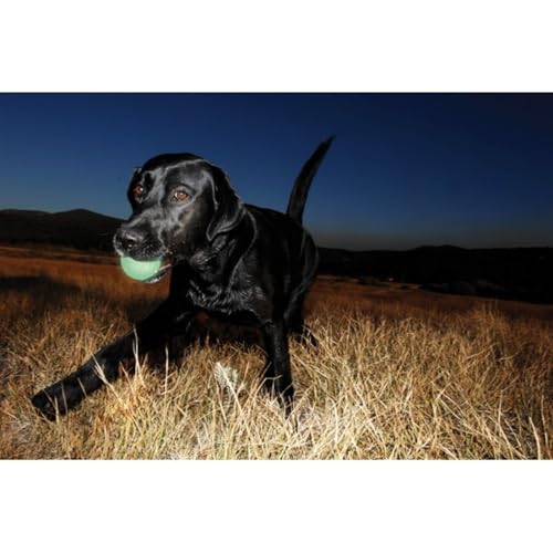 Chuckit! Max Glow Bouncy Ball, Glowin the Dark, XL 3.5in - size: Extra-Large