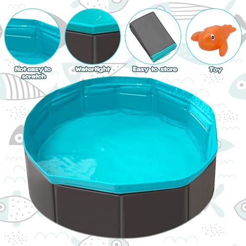 Cat Pool Toy, Cat Enrichment Toy, Portable Play Mat (1pcs Pool + 6pcs Toy)