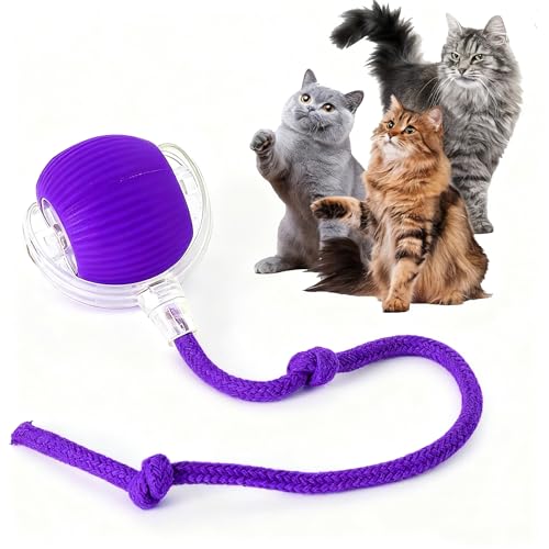 Rocfish Durable Interactive Cat Toys for Indoor Cats (Purple, 01) - color: purple01, size: 01