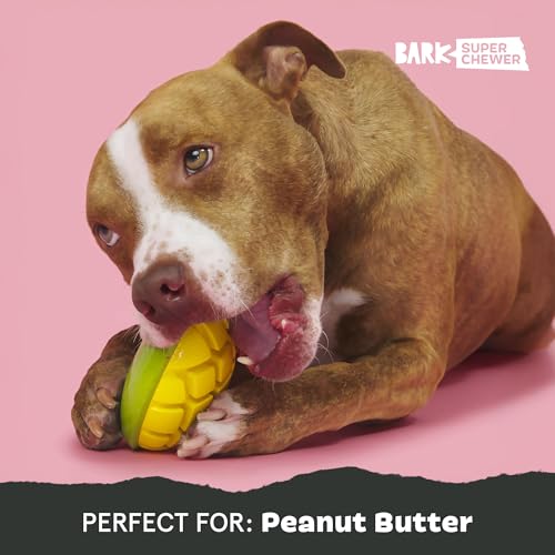 BarkBox Go Mango Tough Squeaky Rubber Dog Toy - Large - color: Go Mango-Large