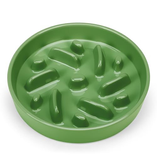 Ceramic Slow Feeder Dog Bowl, 2 Cups Maze Puzzle Dish to Slow Down Eating - color: Maze - Green