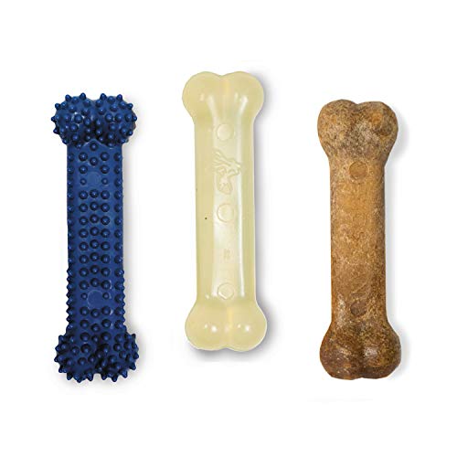 Nylabone Flexi Chew Small Dog Value Pack Dog Toys with Chew Treat, 3 Count - size: X-Small