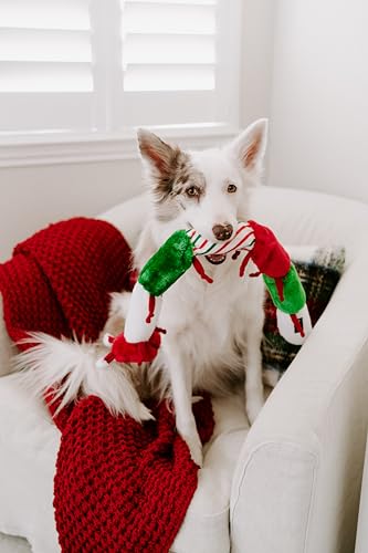 ZippyPaws Holiday Caterpillar Dog Plush Squeak Toy - size: One Size - Christmas
