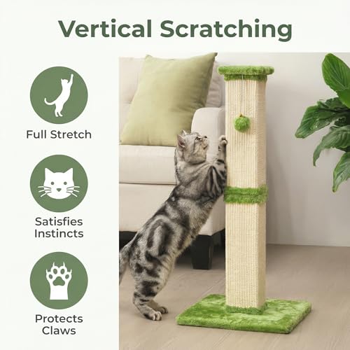 Fansafurn Tall Cat Scratching Post, 32'' Heavy Duty and Thick Scratching Post, Scratching Post for Adult Cats, Thick Sisal Rope with Hanging Ball, Green - color: Green, size: 32''