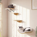 4-PCS Cat Wall Shelves with Foam-Padded Bed & Sisal Steps for Indoor Cats - color: Combo C (1 Foam-Mat Bed, 2 Steps&1 Shelf)