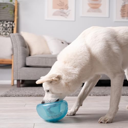Outward Hound Snoop Interactive Treat Dispensing Dog Toy, Blue, 5" - color: Blue