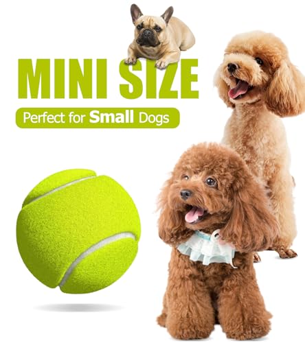 2-inches Interactive Dog Tennis Balls for Exercise and Training
