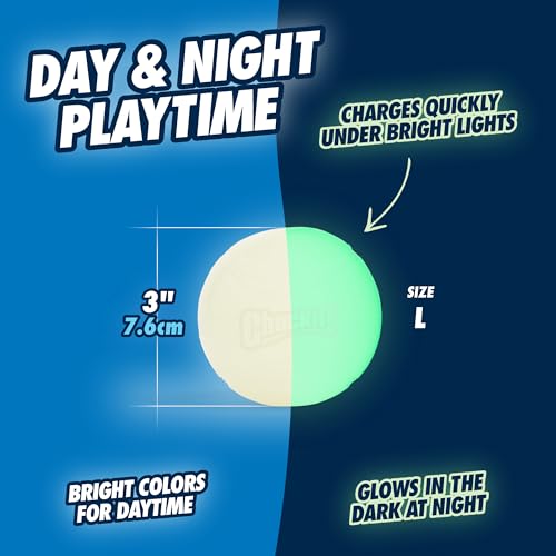 Chuckit! Max Glowin the Dark Bouncy Ball for Dogs, Large 3in, 1 Pack - size: Large