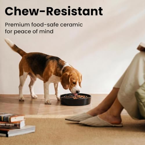 Ceramic Slow Feeder Dog Bowls 1.6 Cups for Medium & Small Fast Eaters,Black - color: Black, size: M - 1.6 Cups