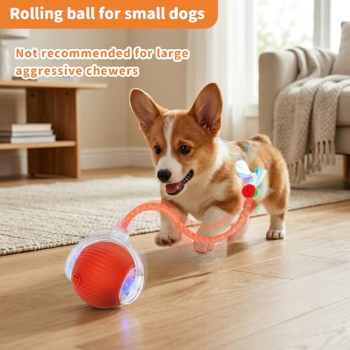 Cat Toys for Indoor Cats Smart Automatic Ball Moving Chase Dogs Toy, Red - color: B1-Red Dragonfly