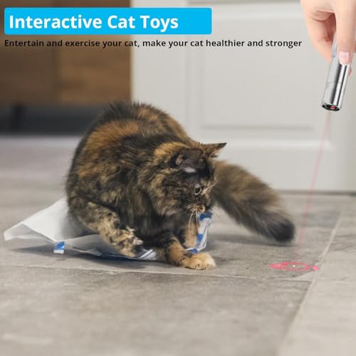 Waputne Cat Toy, USB Rechargeable, 3 Light Modes, 5 Fun Patterns, Indoor