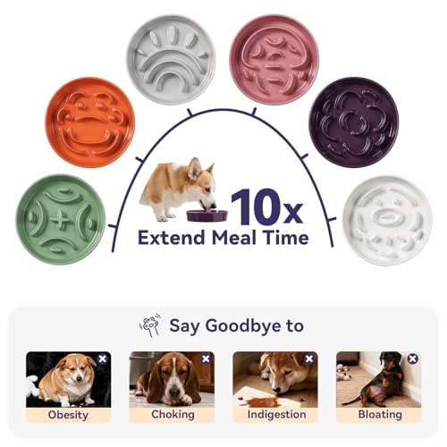 Ceramic Slow Feeder Dog Bowl, 1.8 Cups Anti -Slip Slow Feeding Bowl to Slow Down Eating, 8.2 Inch Dog Food Dish for Medium to Large Breeds, Green - color: Green, size: Medium without Stand