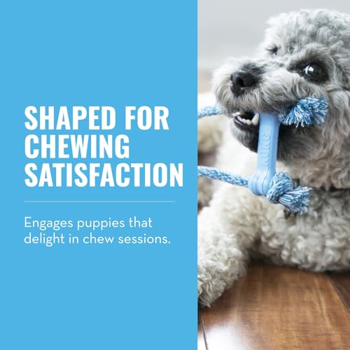 KONG Puppy Goodie Bone with Rope, Natural Rubber, for XS Puppies, Blue - color: Blue