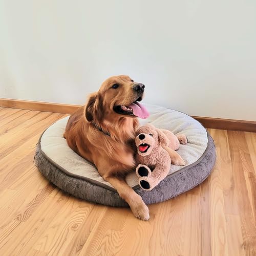 LotFancy Dog Stuffed Animals Plush, 21" Soft Cuddly Golden Retriever Plush Toys, Large Stuffed Dog, Puppy Dog Stuffed Animals, Easter Birthday Gift for Kids Girls Boys - color: Beige, size: 21 inch
