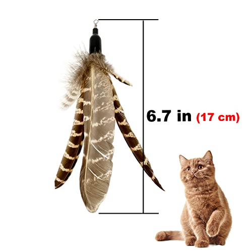 Cat Feather Toys Refills, 6 Pieces Handmade Da Bird Feathers Refill, Cat Wand Replacement Feather for Indoor Cats (C) - color: C-6 Pieces Feather Refills