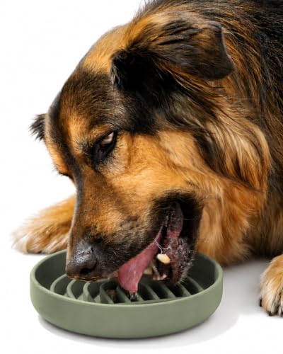 Slow Feeder Dog Bowl - Silicone Dog Bowl, Medium, 7.5" x 1.5" - Sage - color: Sage - Rainbow Design, size: Medium (7.5” Across x 1.5” Tall)