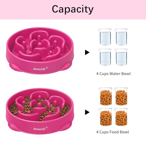 MateeyLife 1-Pack Slow Feeder Dog Bowls, 4 Cups, Dog Puzzle Feeder Bowl - color: J-Purple, size: Large
