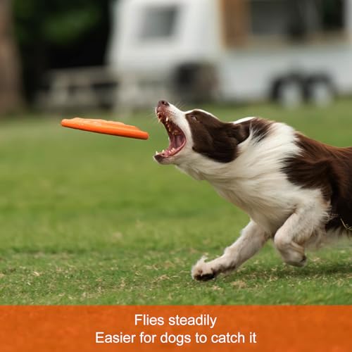 NAITELI Flyer-Soft Flying Disc Fetch Toy-for Medium/Large Dogs(Orange,L) - color: Orange, size: Large