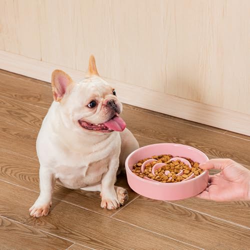vancasso Ceramic Slow Feeder Dog Bowl, 0.6 Cup Puzzle Dish for Small Breeds - color: Pink, size: S - 0.6 Cups