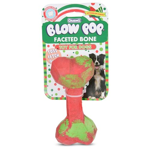 Blow Pop Ombre Geo Bone – Durable Dog Chew Toy for Aggressive Chewers – Textured TPR with Vanilla Scent